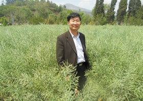 张树兴