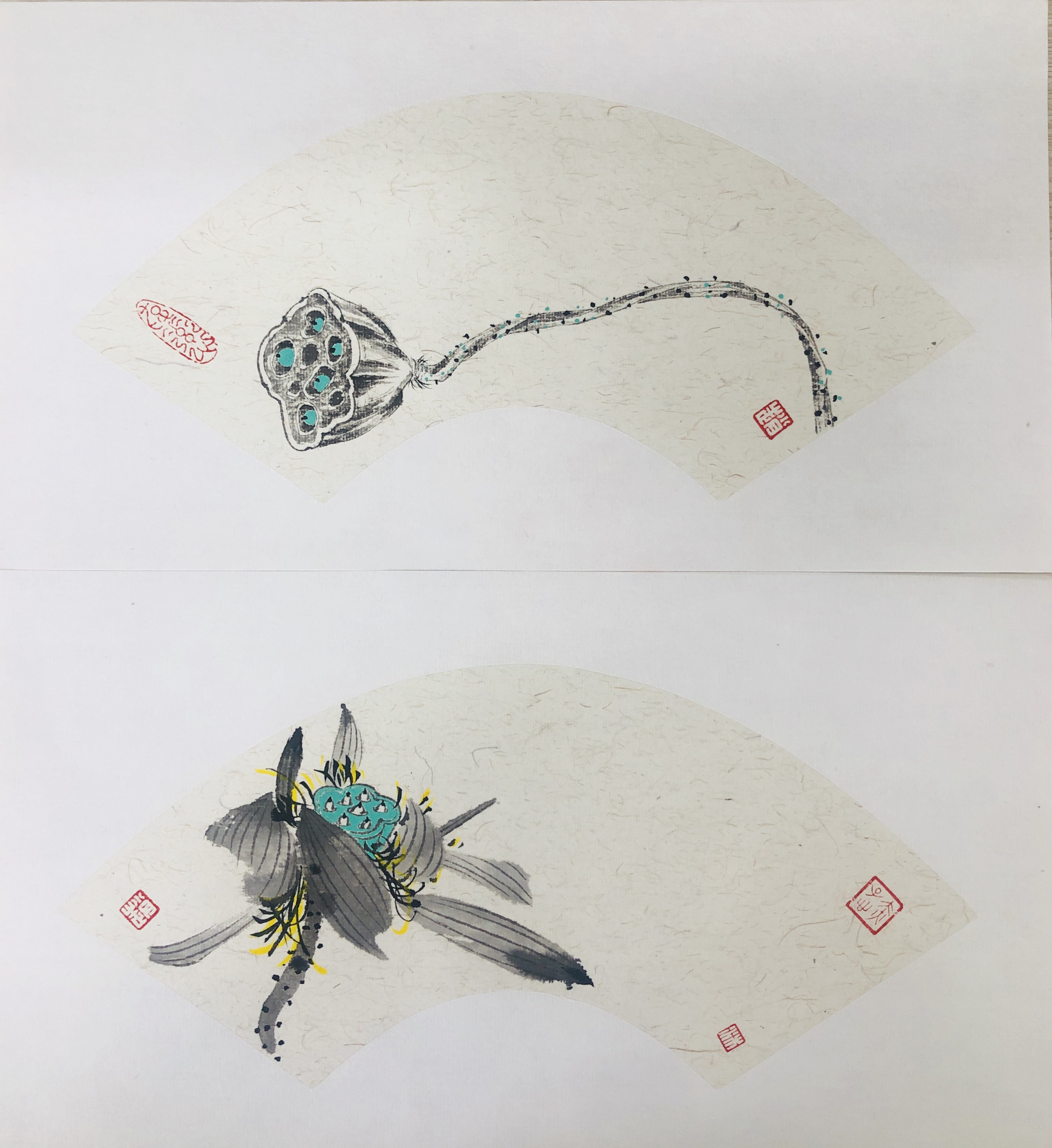 莲“廉”-昆明理工大学津桥学院语言文化学院-赵月姣