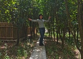 王东旭
