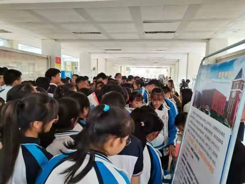 图片8