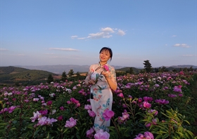 王娟
