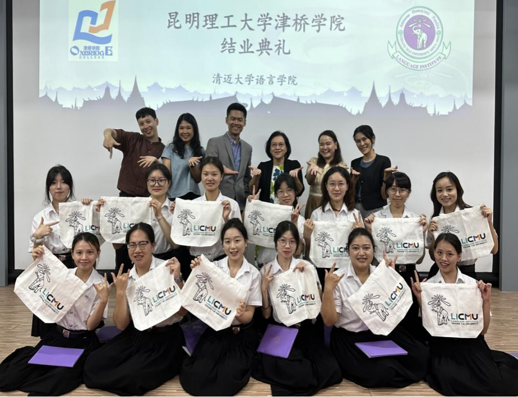 图片8