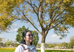 杨蕊
